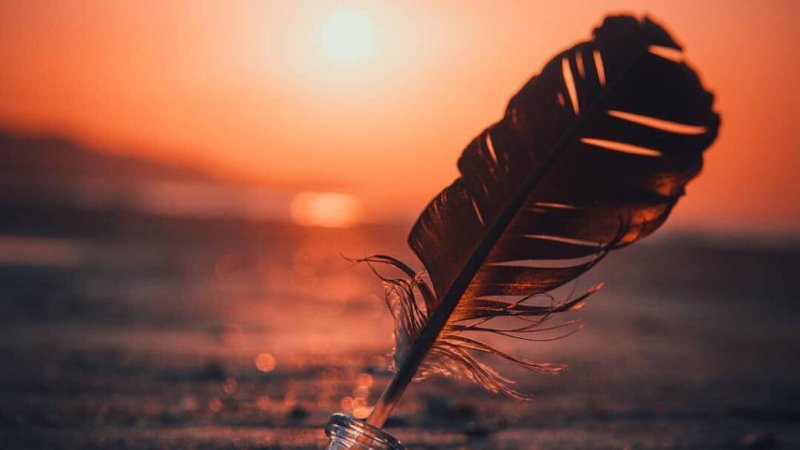 ریښتیا هم انسانیت ستر مذهب دی؟