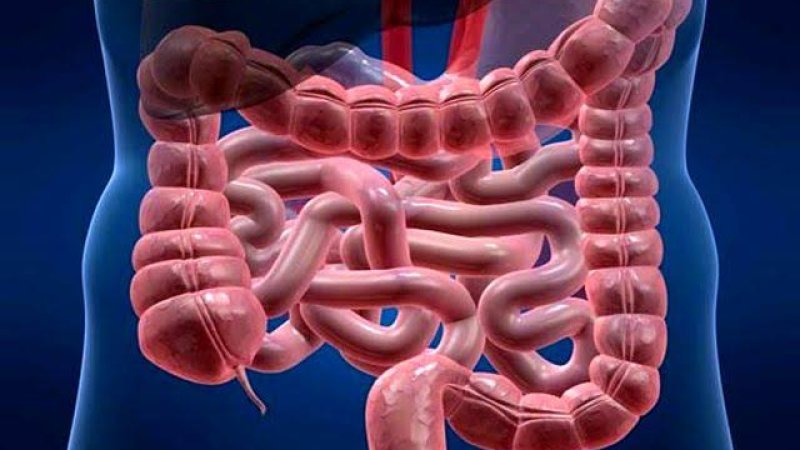 د کولمو د سرطان نښې