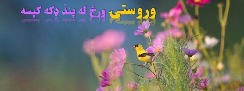 وروستۍ ورځ له پندَ ډکه کیسه