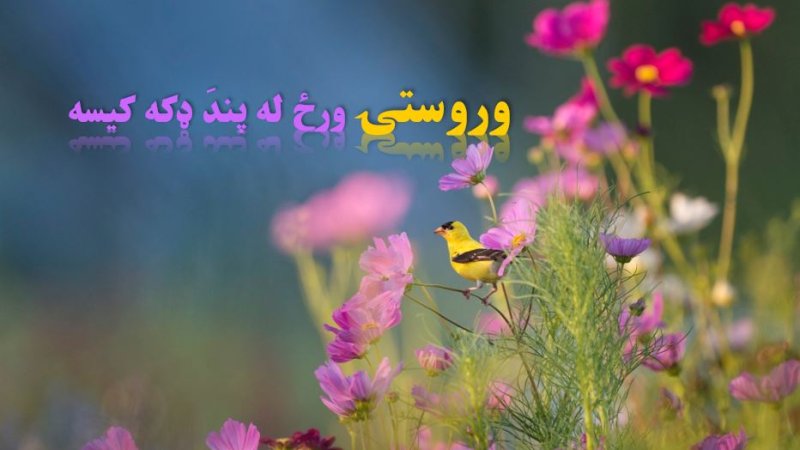 وروستۍ ورځ له پندَ ډکه کیسه