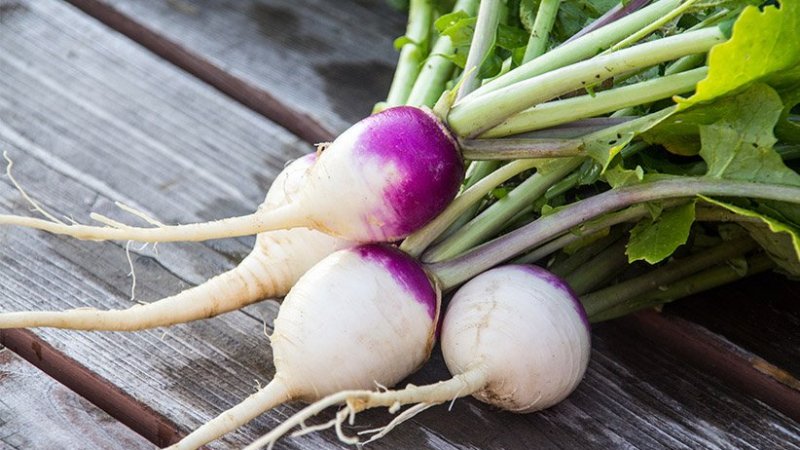 د ټېپرو (شلغم) روغتيايي ګټې