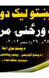 پښتو ليک دود او لیک لار cover image