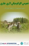 عمومي اګرانومیکي لارې cover image