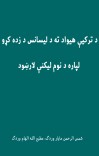 د ترکیې هیواد ته د لیسانس د زده کړو لپاره د نوم لیکنې لارښود cover image