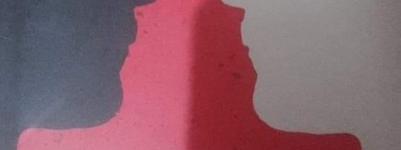 جرم او سزا ناول لنډیز
