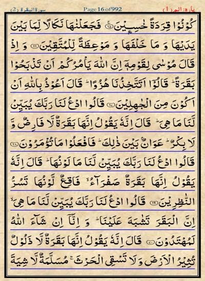 قران ١٣ خطه Quran 13 line